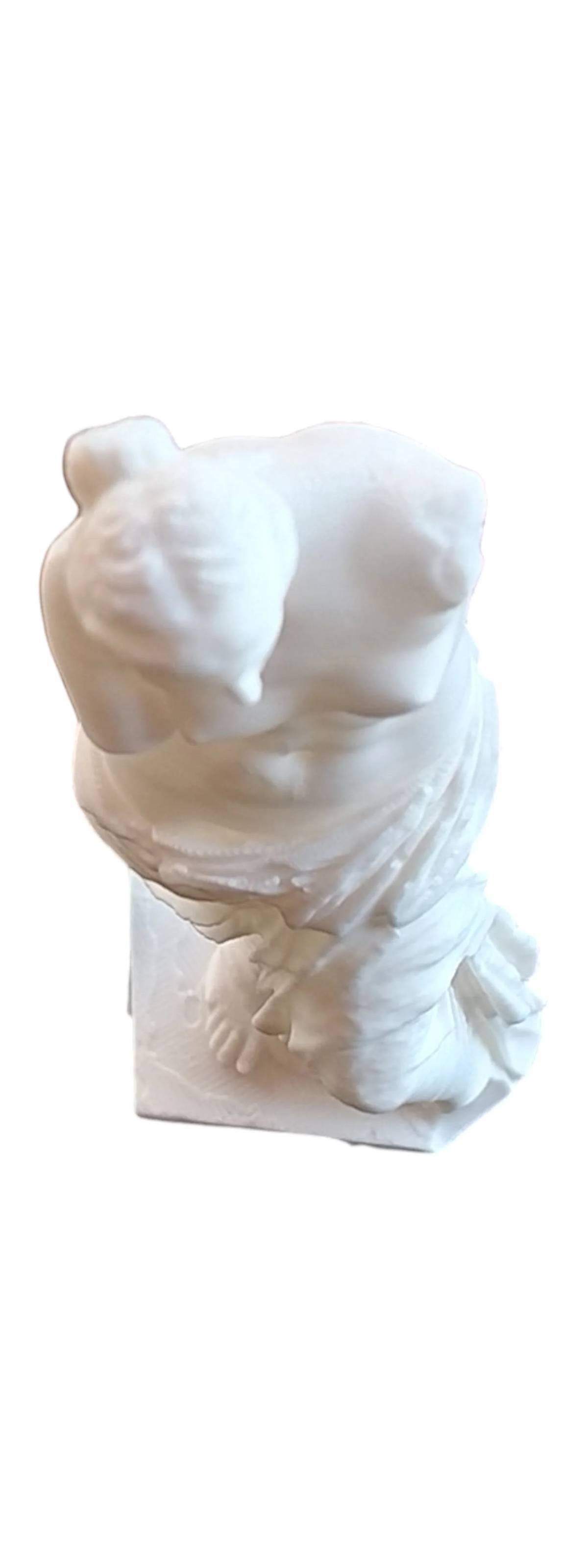 Venus de Milo – Detailed 3D Printed Statue – White PLA – 15 cm Replica