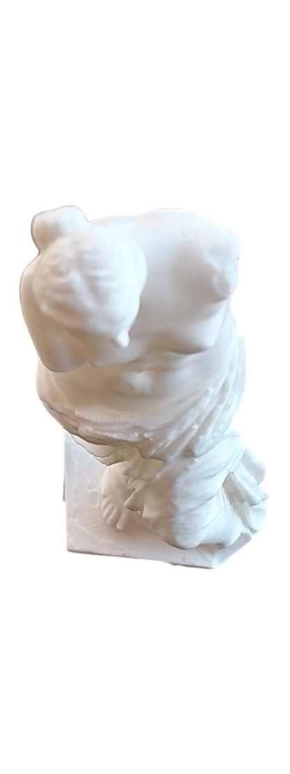 Venus de Milo – Detailed 3D Printed Statue – White PLA – 15 cm Replica
